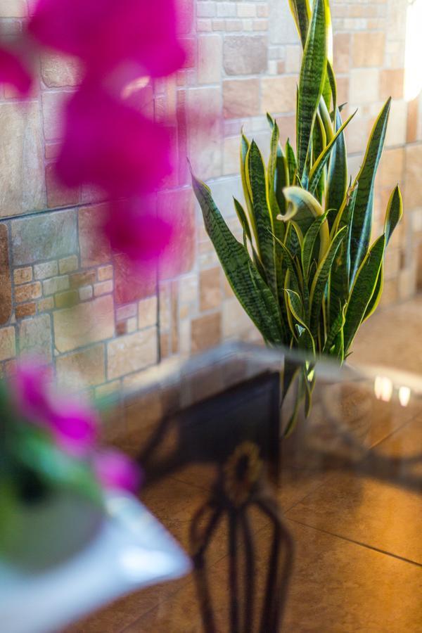 Merida Serviced Apartments المظهر الخارجي الصورة